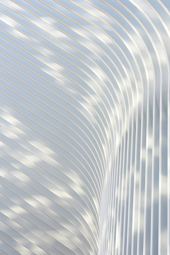 Abstraction of the Oculus