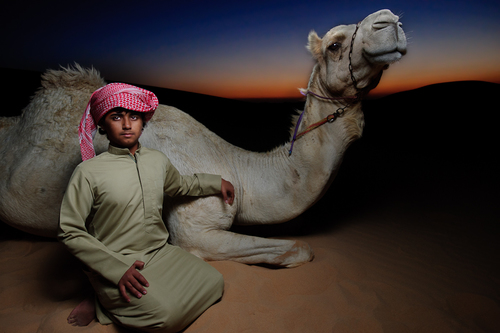 Young Bedouin and His Camel