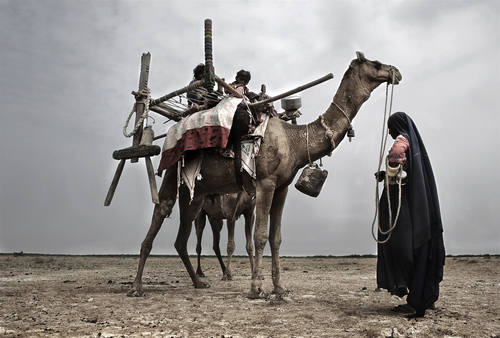 Rabaris with Camel