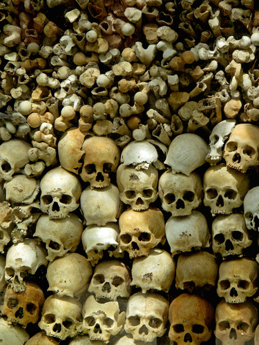 Reflections from the Killing Fields