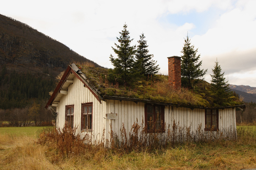 Norwegian Trees House 1
