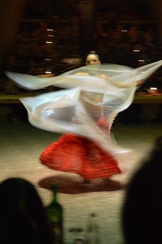 anatolian dancer