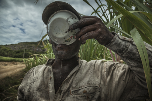 Fijian Indian Sugar Cane Worker