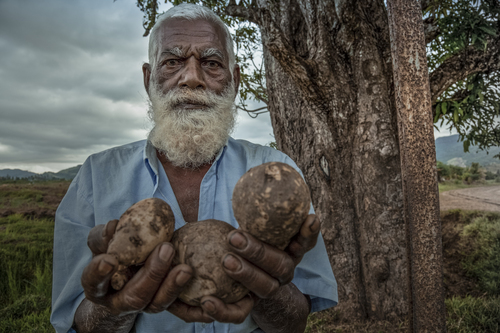 Elderly Fijian Indian Man