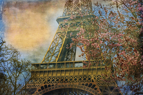 Eiffel Blossom