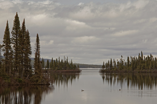 Lake 1, Labrador