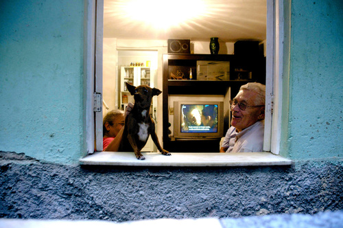 Favela Watch Dog with TV Crew