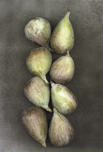 Figs (1)