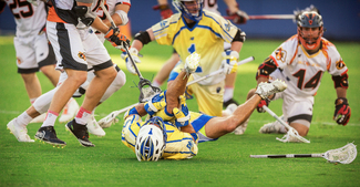 Whacked Color Awards Winners and Nominees