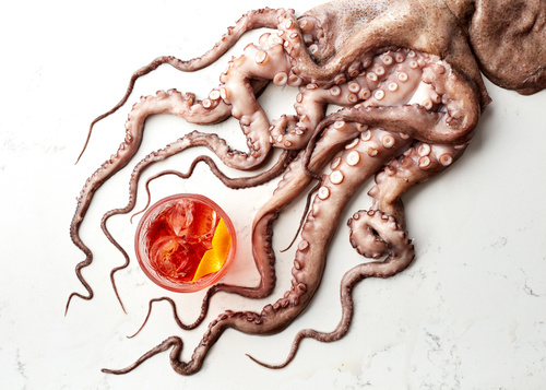 Negroni and Octopus