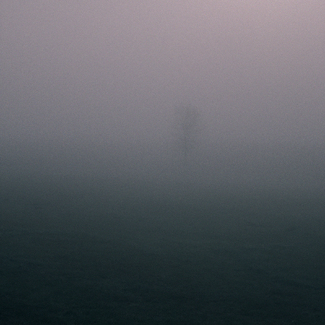 A late fall morning near Hohnstein Color Awards Winners and Nominees