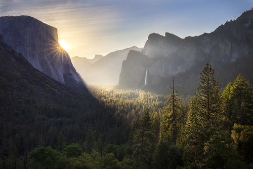 Good Morning, Yosemite!
