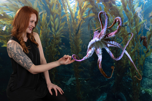 Samantha and the Octopus