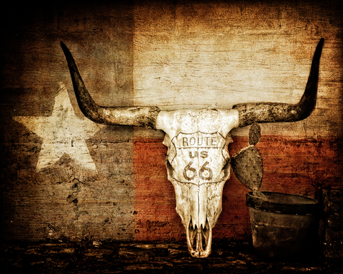 Route 66 Horns