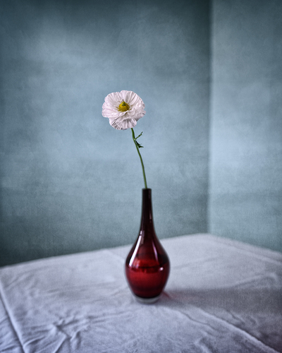 Vase Rouge