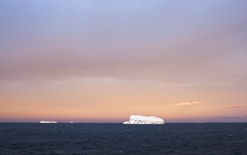 Iceberg Bransfield Strait
