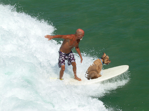 Surfing Dudes
