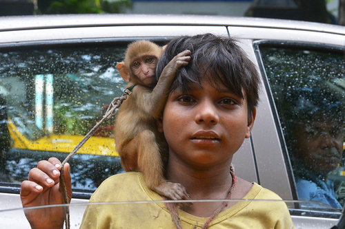 Child with a Baby Monkey
