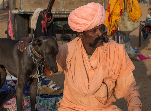 Rajasthani Man and his Dog