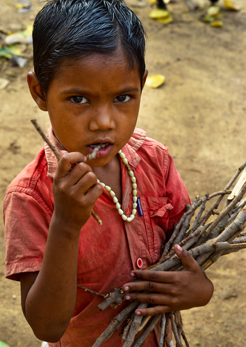 Tribal girl with firewood