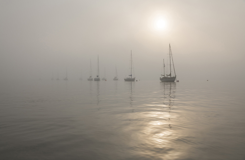 Yachts In The Fog