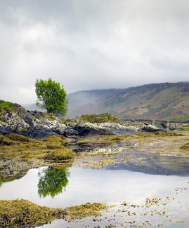 Loch Duich, The Highlands, Scotland Color Awards Winners and Nominees