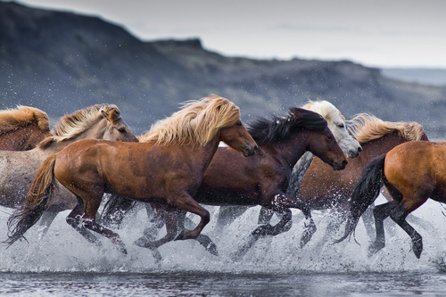 Crashing through the Hop River Crashing through the Hop River