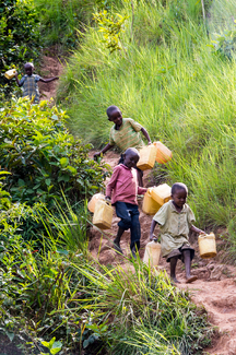 The Daily trip to the water pump Color Awards Winners and Nominees