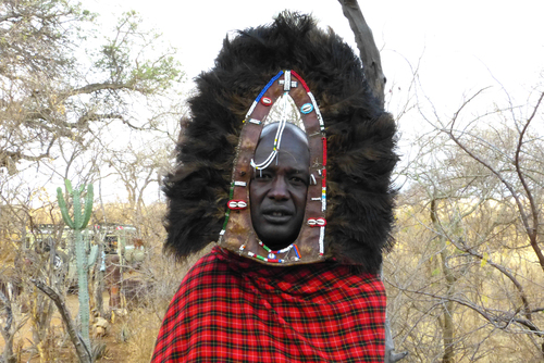 Maasai Tribal Warrior