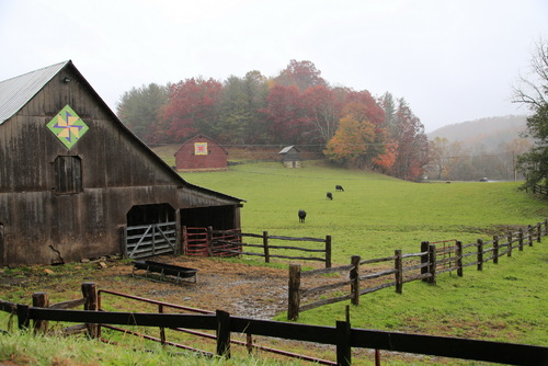 Country Barns & Pasture
