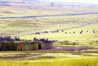 Maasai Village Color Awards Winners and Nominees