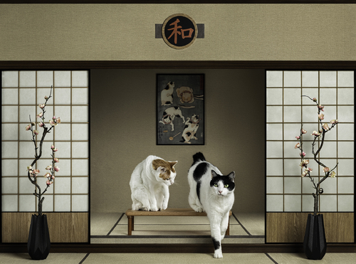 Japanese interior with cats