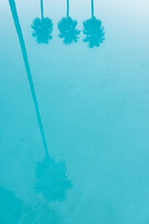 Palm Spring Pool Color Awards Winners and Nominees