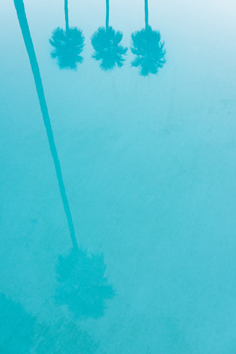 Palm Spring Pool Palm Spring Pool