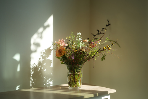 Vase in Sunlight