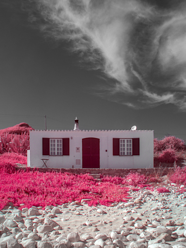 La vie en rose La vie en rose