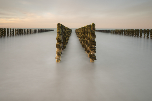 Cap Griz Nez, Home by the Sea Cap Griz Nez, Home by the Sea