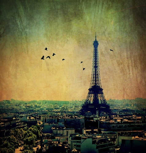 Eiffel Tower & Birds
