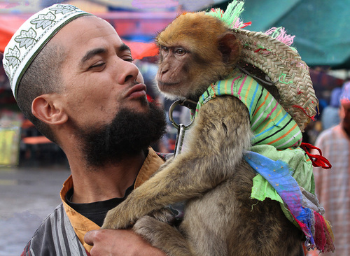 Monkey Handler Marrakech