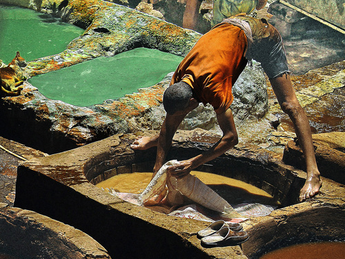 Tannery Worker - Fes