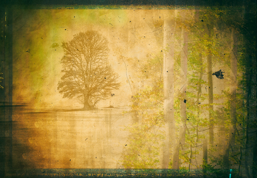 Double exposure winter spring Double exposure winter spring