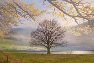 Double exposure in November light Color Awards Winners and Nominees