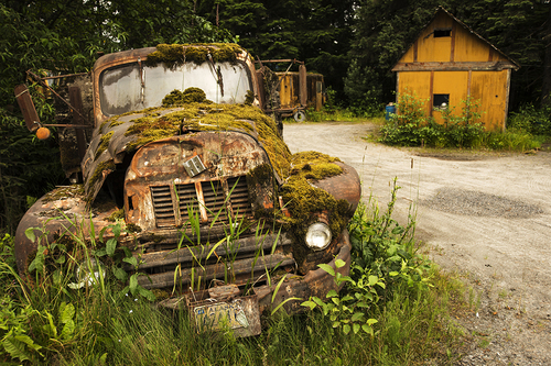 Moss Truck Alaska