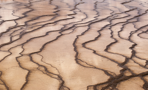 Hot Spring & Hoof Patterns Hot Spring & Hoof Patterns
