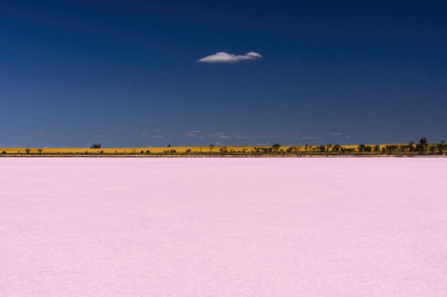 Pink Lake Solitude