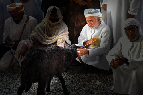 Nizwa, Oman cattlemarket