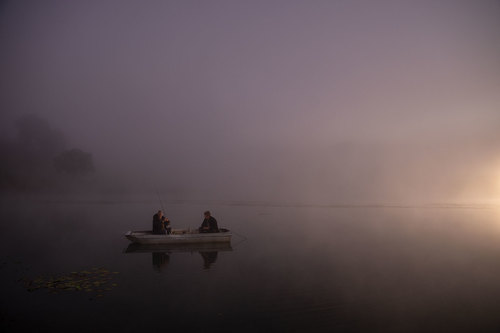 Fishing Fog