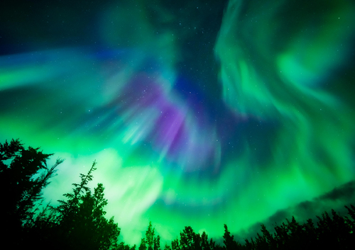 Auroras Borealis Alaska