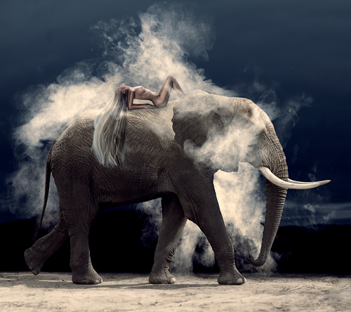 Nude Elephant Dust