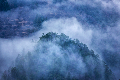Misty mountain 1
